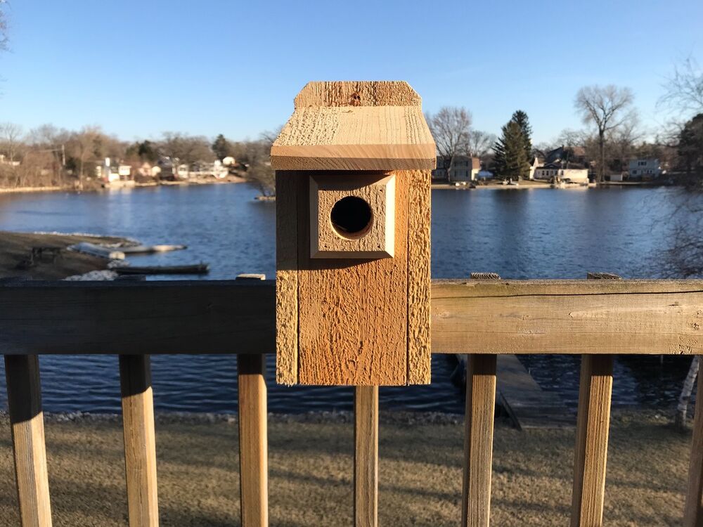 Cedar Bluebird Bird House 3/4" THICK Cedar Birdhouse! Predator Guard TOP SELLER