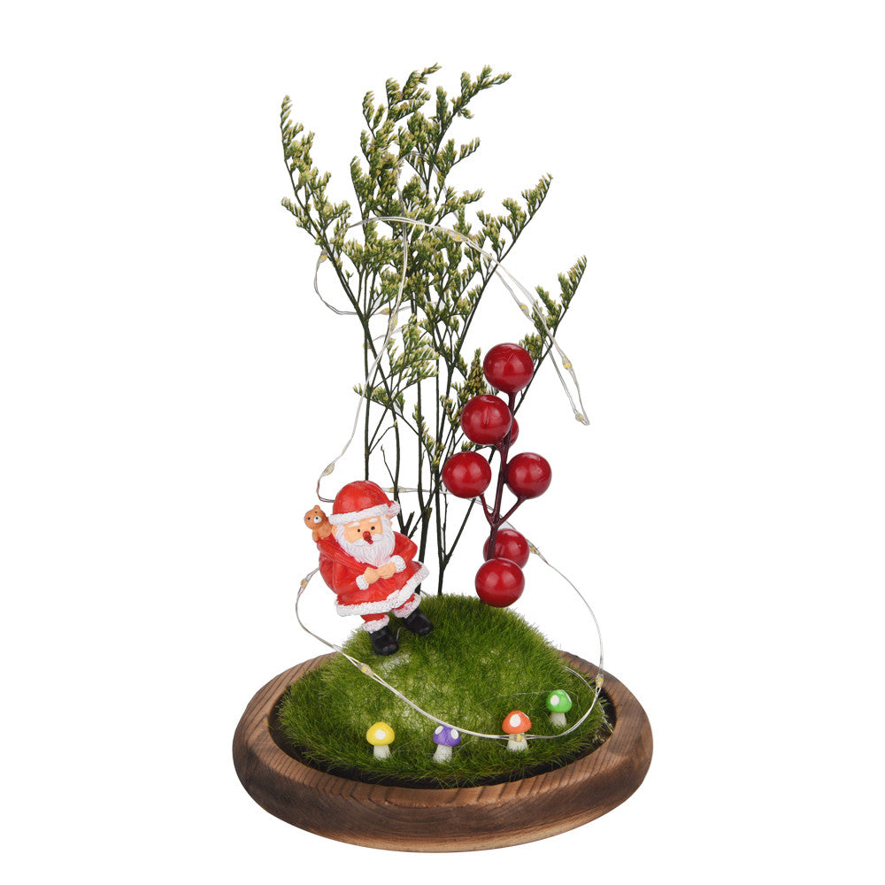 Wire Lamp Microscopic Scene  Ornaments Santa Claus Red Fruit