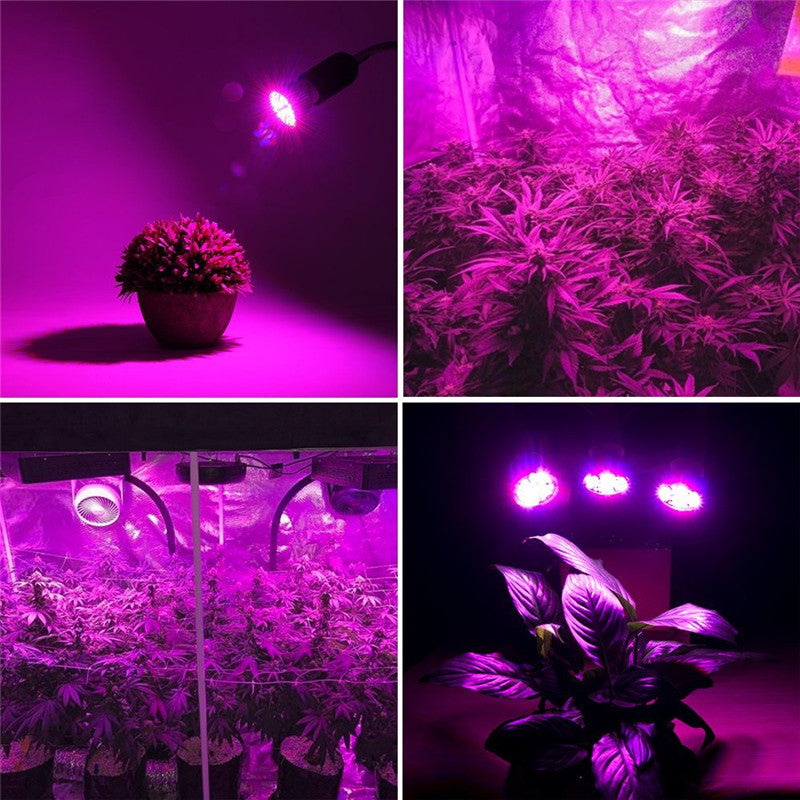 LED Bulb Grow Light E27 60W 2835 SMD Full Spectrum Plant Hydroponic Aquarium AC85-265V